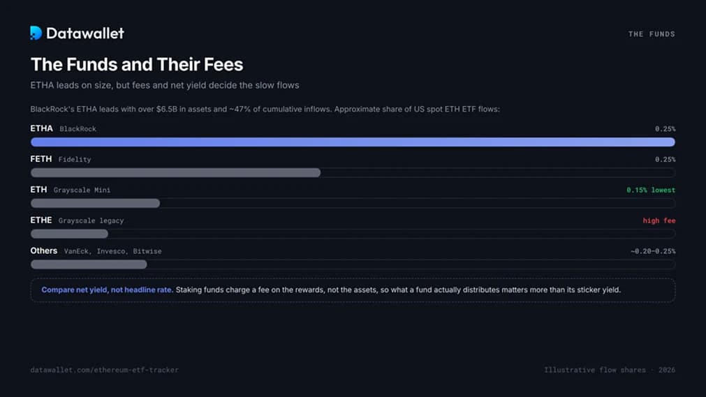 Ethereum ETF 及其费用