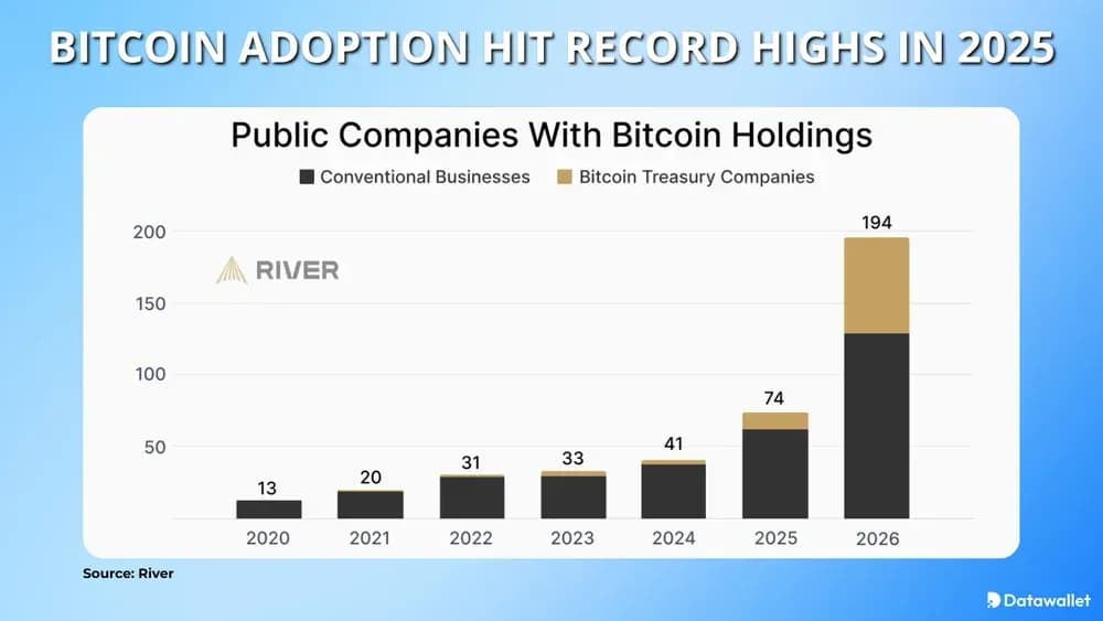 Bitcoin Adoption Hit Record Highs In 2025