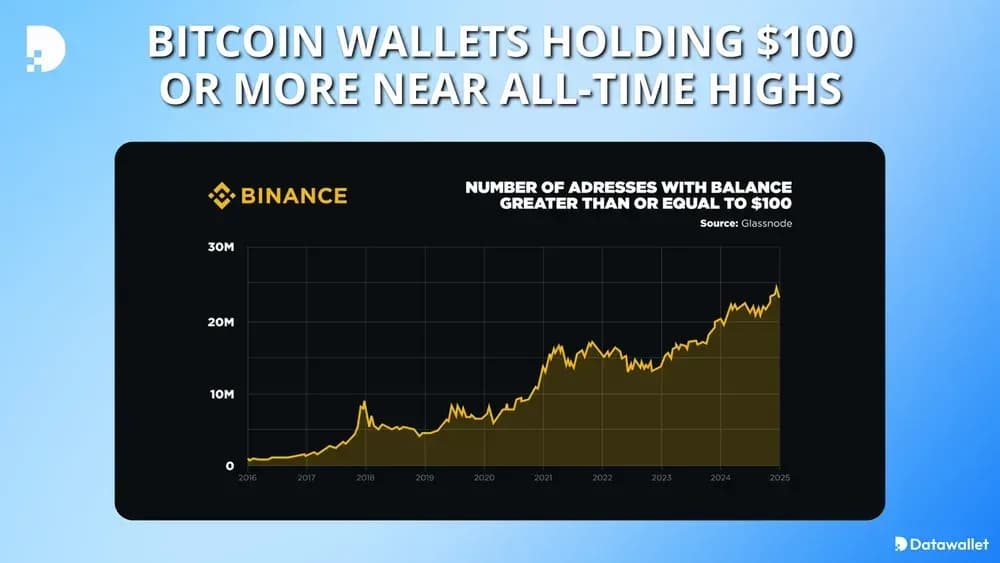 btc wallets with over $100 on binance near ath