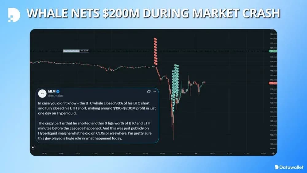 Crypto Hyperliquid Whale Nets $200M During Market Crash