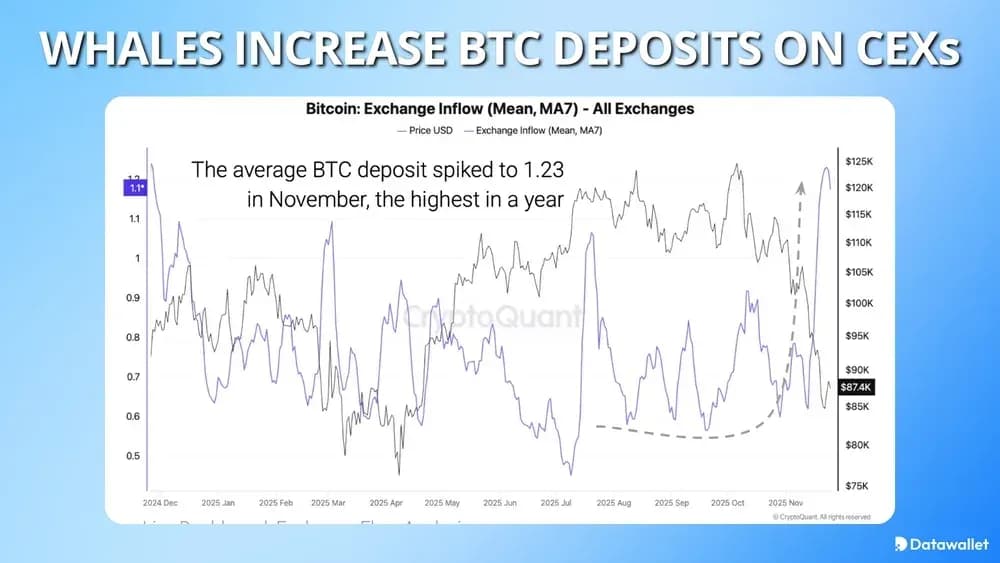Whales Increase Bitcoin Deposits On Exchanges