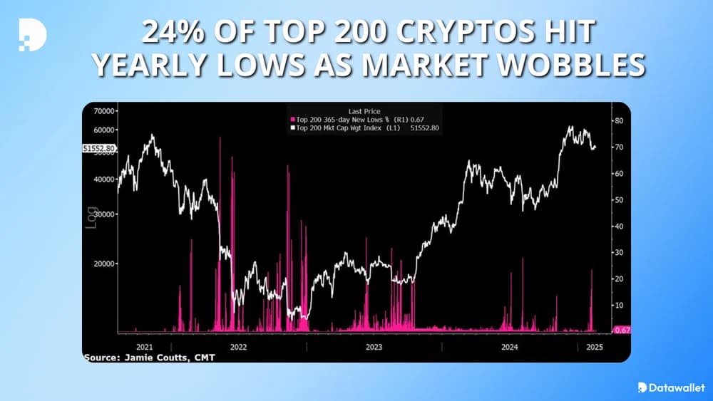24% of Top 200 Cryptos Hit Yearly Lows