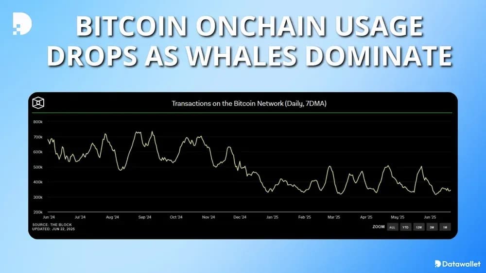 Bitcoin Onchain Usage Drops As Whales Dominate
