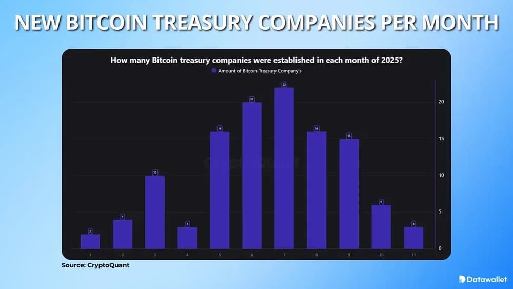 Corporate Bitcoin Treasuries Slow But Accumulation Continues
