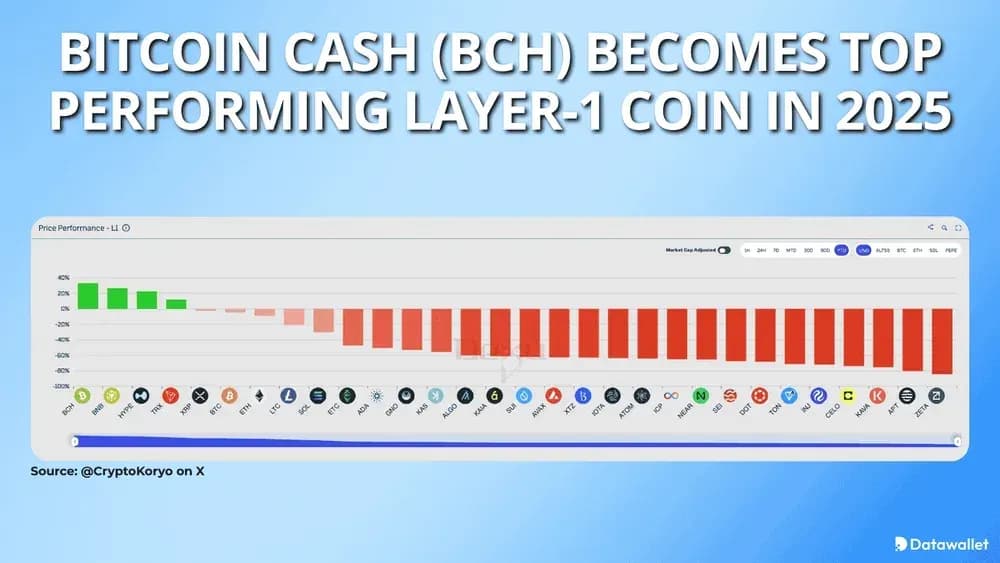 Bitcoin Cash Becomes Top Performing Layer-1 Coin in 2025