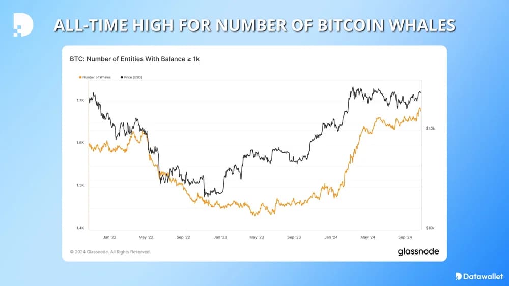 ath for number of bitcoin whales