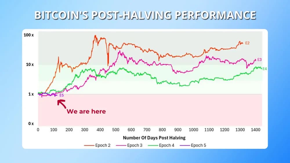 bitcoin post halving performance