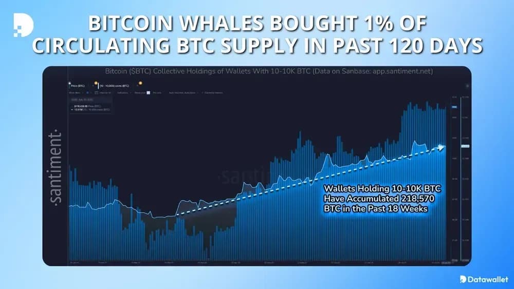 Bitcoin Whales Bought 1% of Circulating BTC Supply in Past 120 Days
