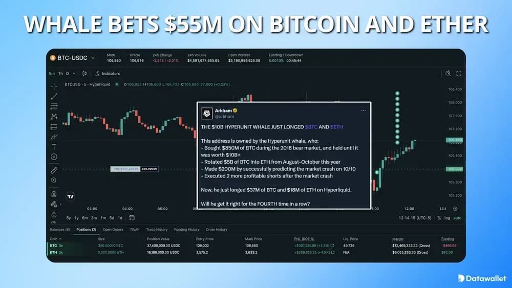 Whale Bets $55m on Bitcoin and Ether