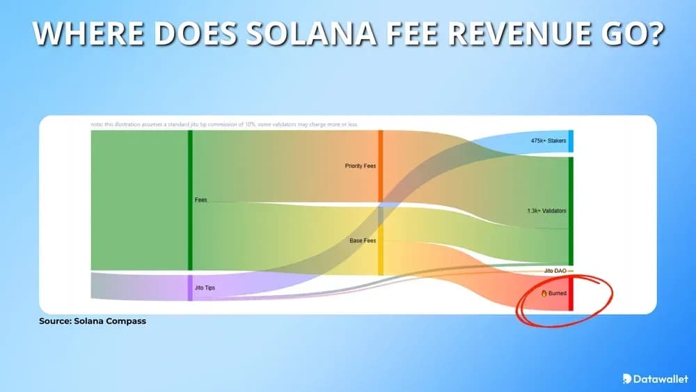 Dove finiscono i ricavi Solana ?