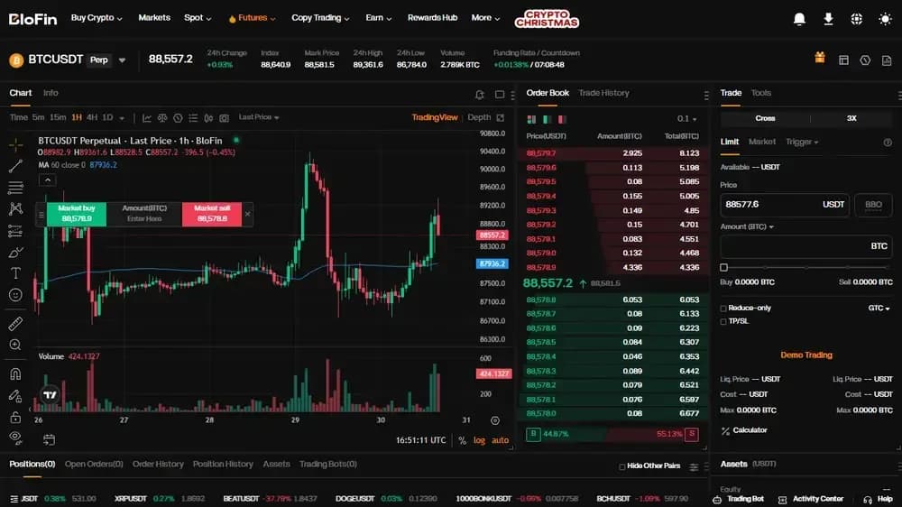 BloFin Futures