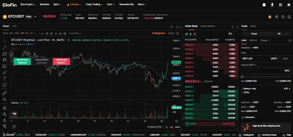 BloFin Futures