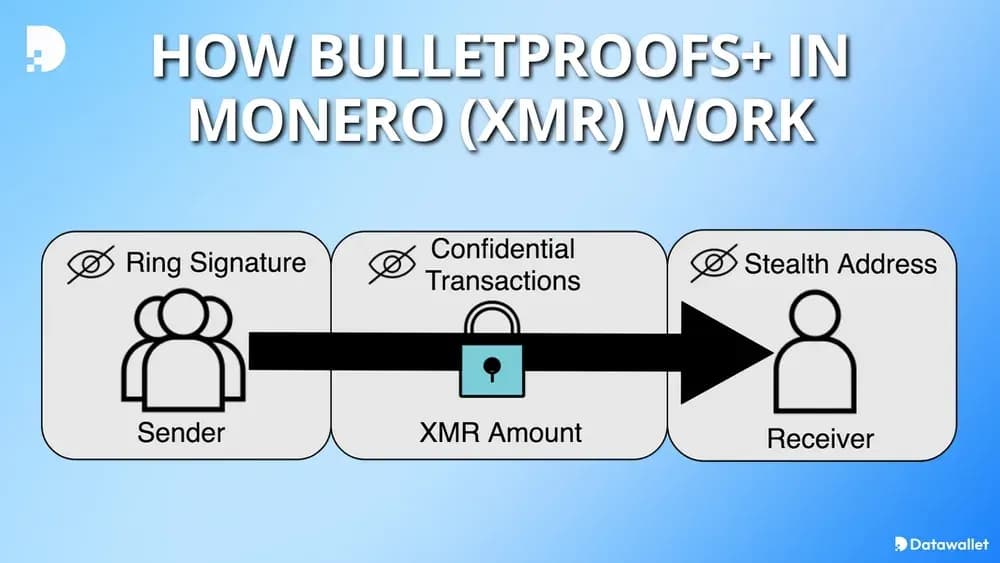 Bulletproofs+ in Monero Visualized
