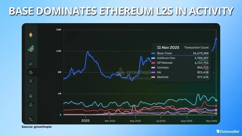 Base Leads Ethereum L2s in Activity