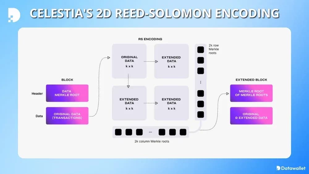 Codificación Reed-Solomon en 2D Celestia