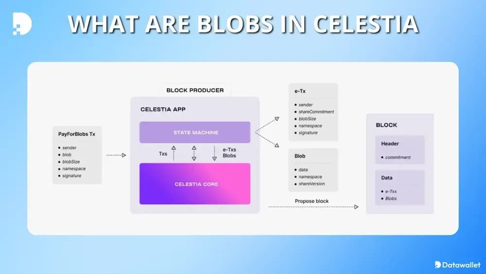 ¿Qué son Blobs  Celestia?