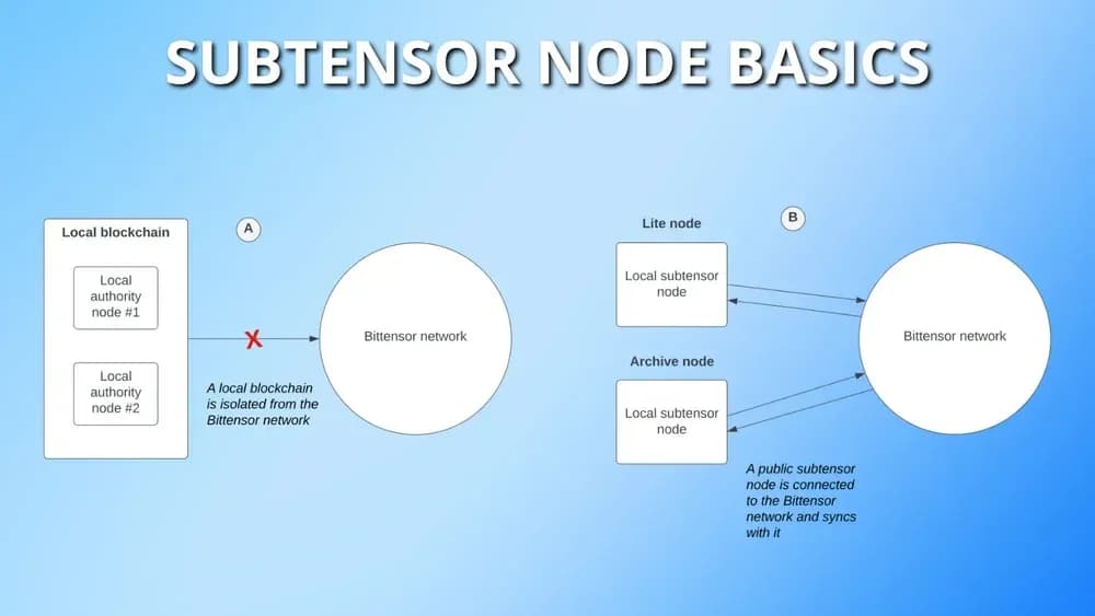 Subtensor Node Basics Through API
