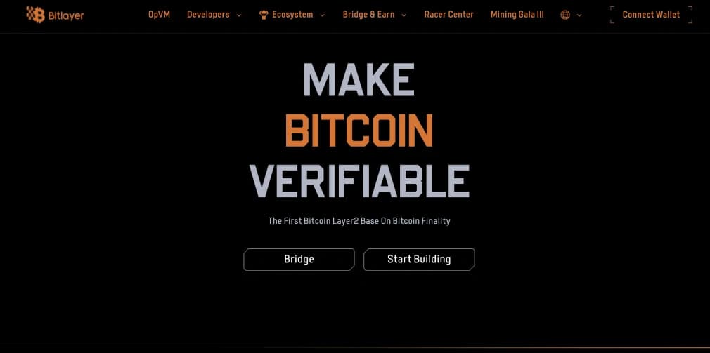 Bitlayer