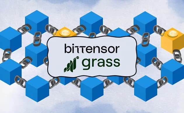 أفضل 5 DePIN في عام 2024