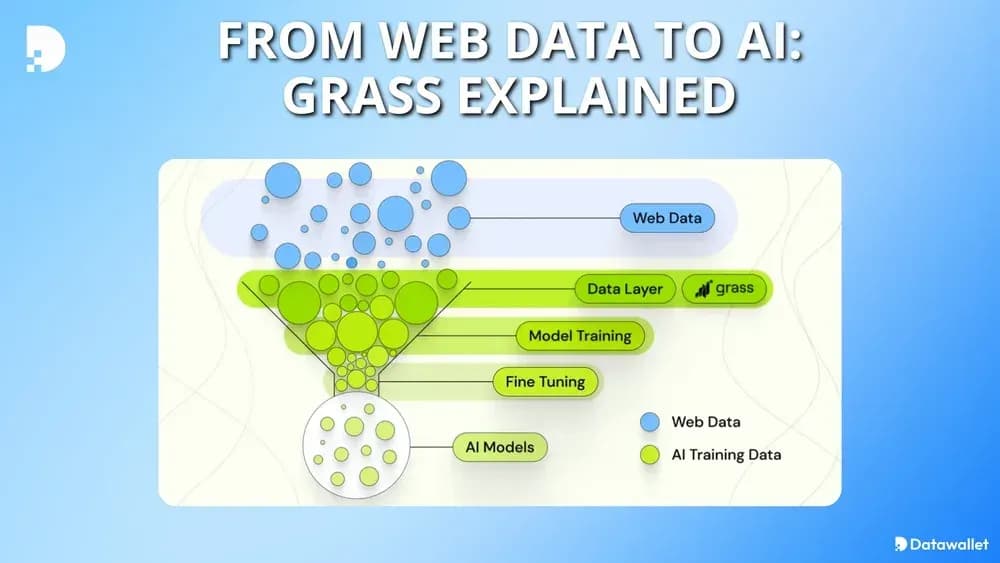 Comment fonctionne Grass ?