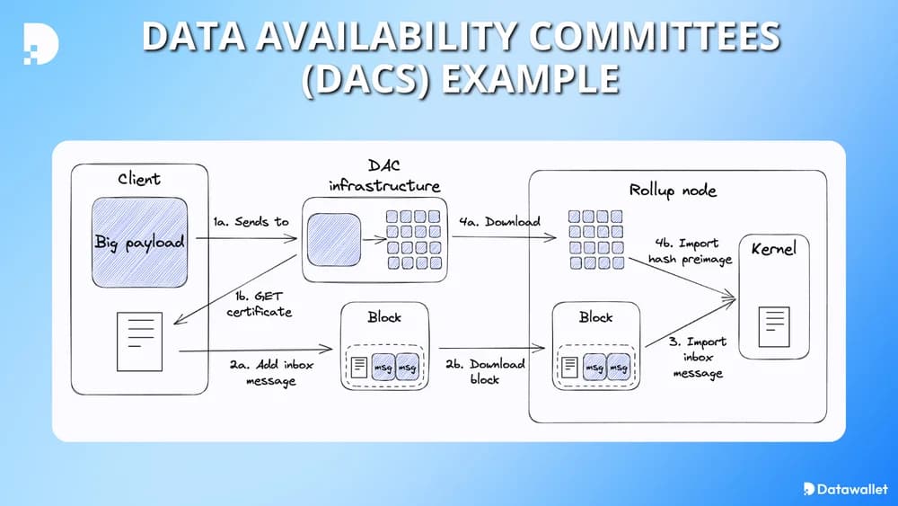 data availability committees (dacs)