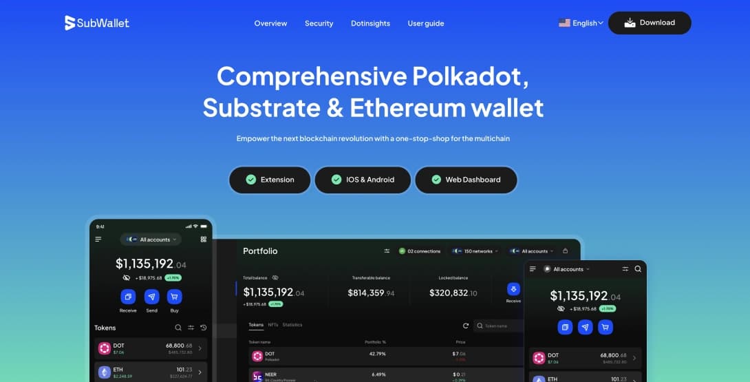 Add Polkadot to MetaMask
