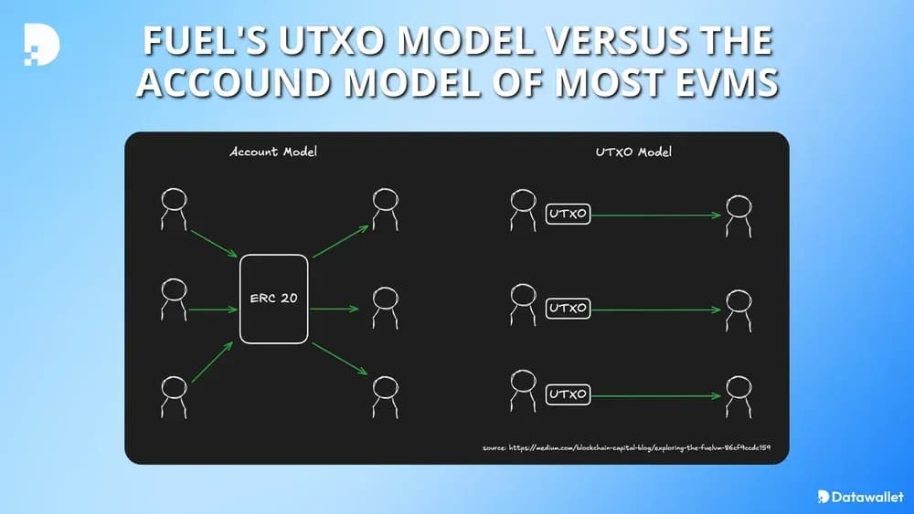 Explicación de fuelvm