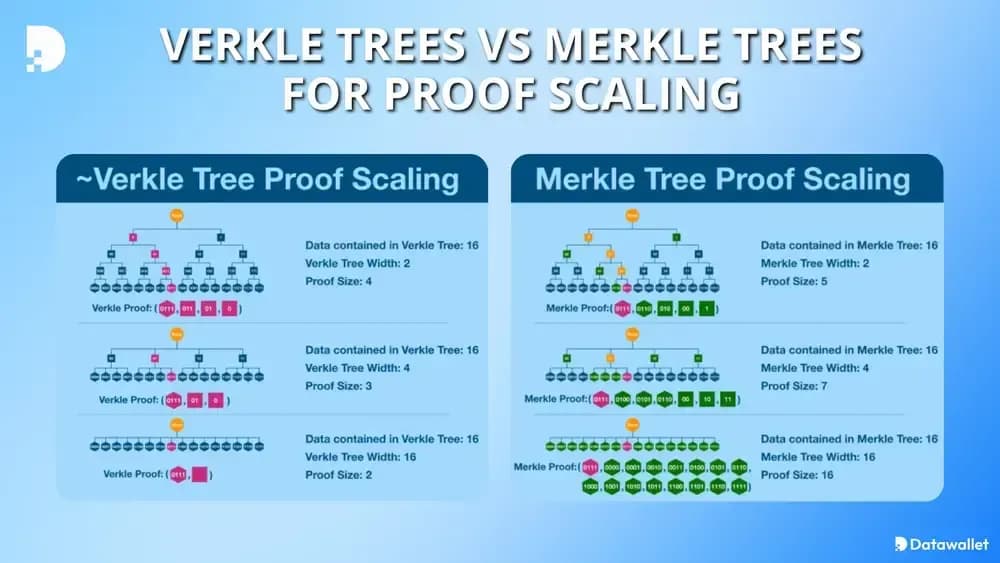 alberi di verkle vs alberi di merkle per la scalatura delle prove