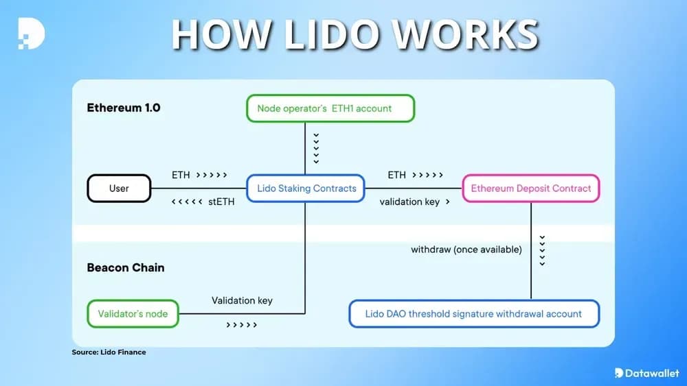 how lido works