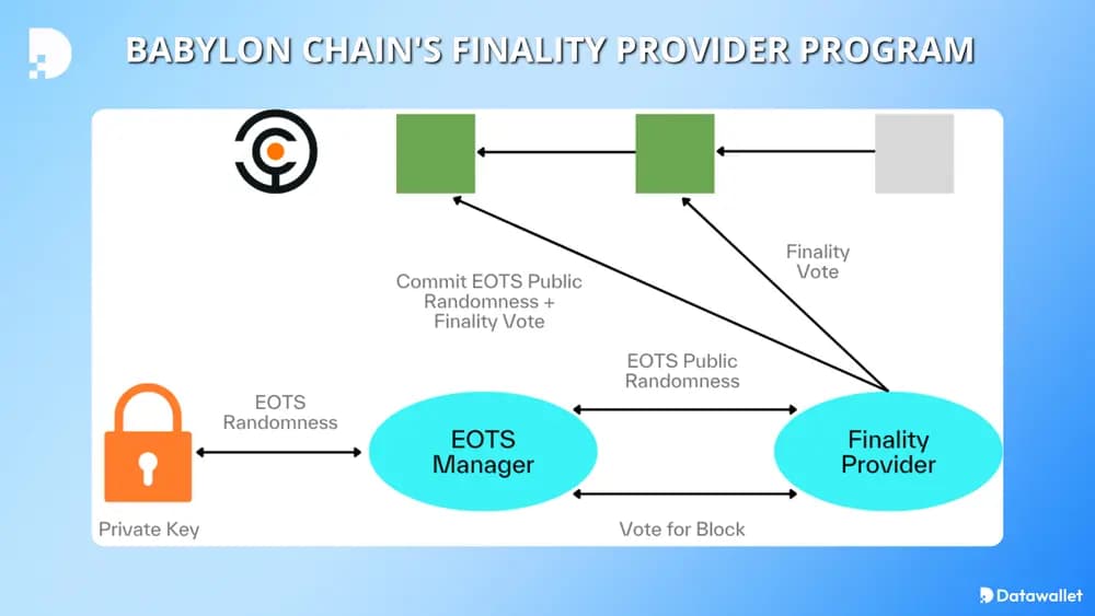 babylon chain خدمات "babylon chain "