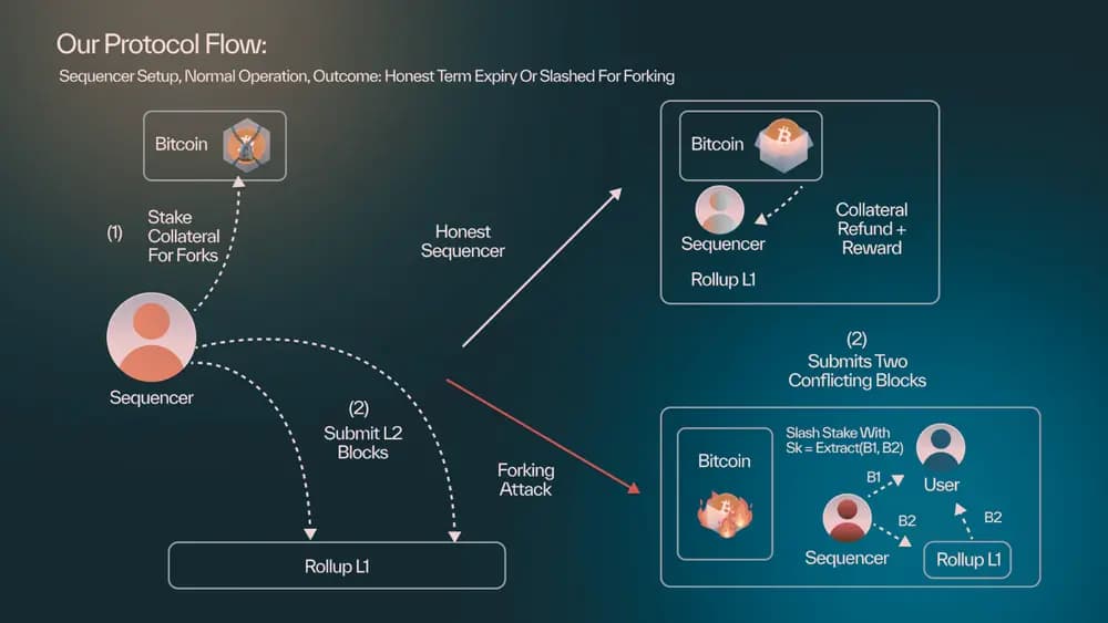 مخاطر قطع بابل
