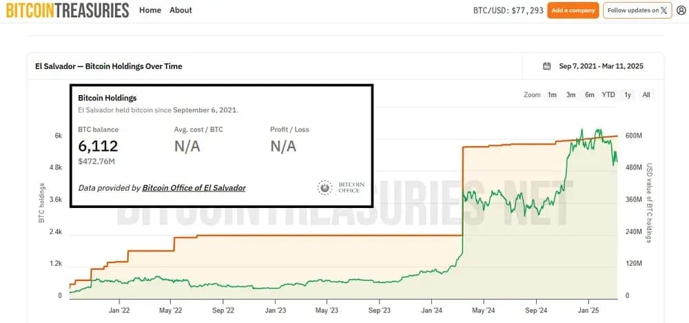 bitcoin nayib bukele من عملة bitcoin nayib bukele السلفادور