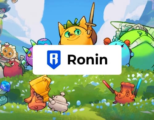 Cómo añadir Ronin  MetaMask