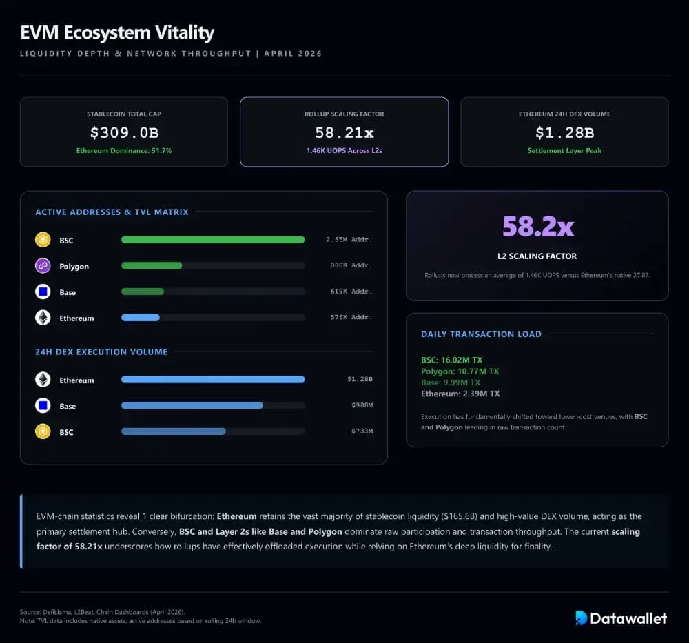 Estadísticas de las EVM