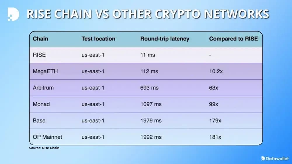 Rise Chain otras redes de criptomonedas