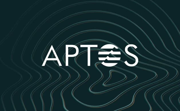How to Add Aptos to MetaMask