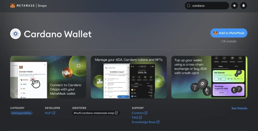 هل MetaMask  Cardano؟