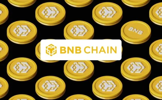 How to Add BNB Chain to MetaMask