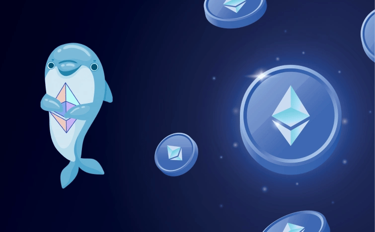 Cómo añadir Sepolia  MetaMask