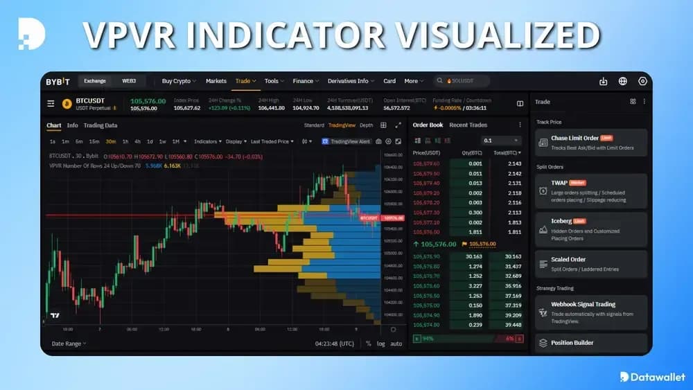 Visualizzazione VPVR