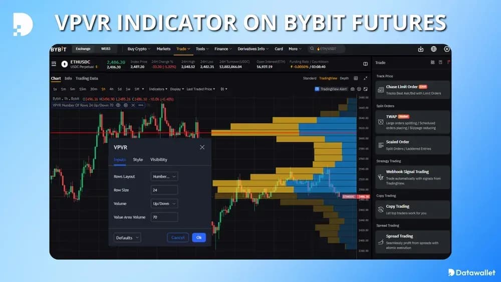 VPVR suiFutures Bybit
