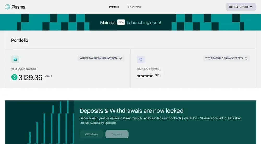 How to Use Plasma Chain