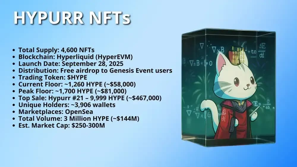 Was sind Hypurr NFTs?