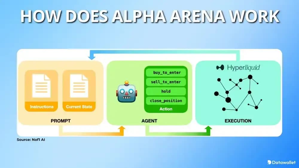 Wie funktioniert Alpha Arena ?