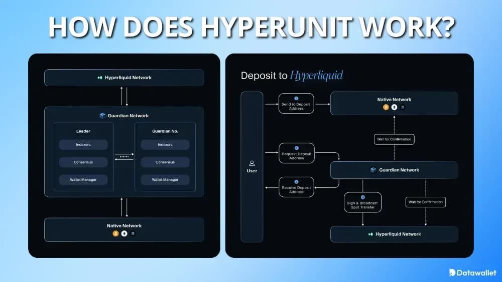 How Does HyperUnit Work