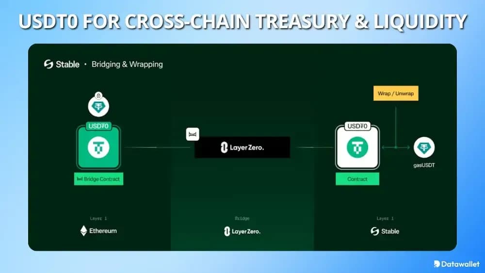 StableChain USDT0  Cross-Chain e la liquidità Cross-Chain