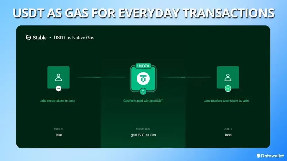 StableChain USDT  Gas le transazioni quotidiane