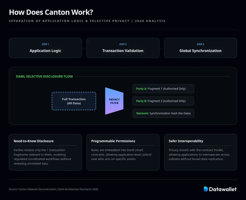 How Does Canton Work