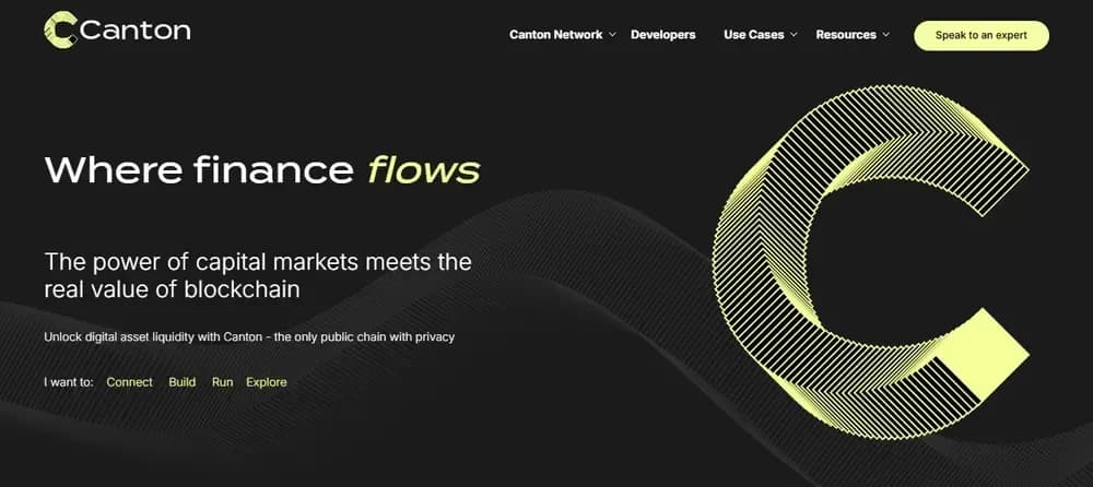 What is Canton Network