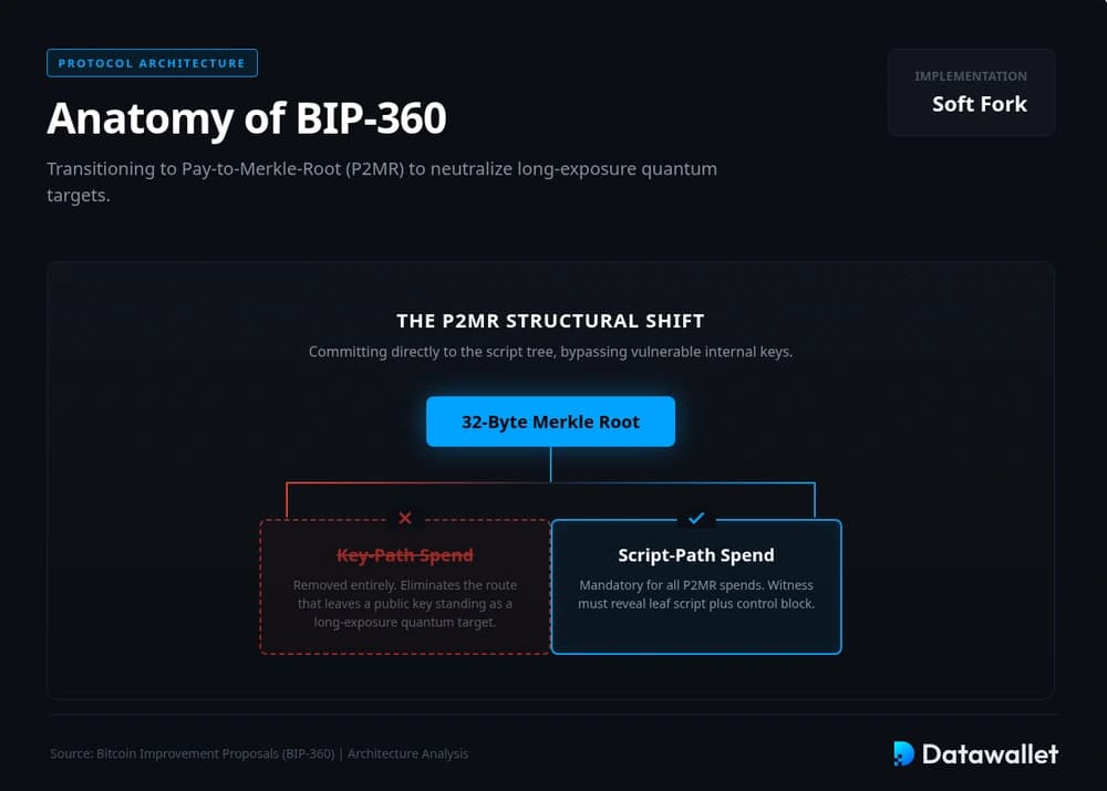 BIP-360 Components
